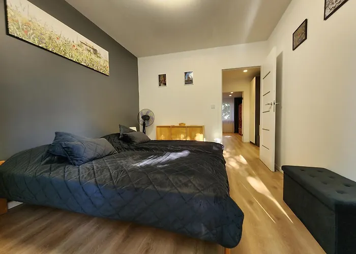 Grey Apartment Krakow